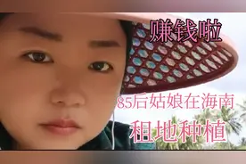 85后哈尔滨夫妻海南租地种植辣椒，投入20多万，多久能回本？视频封面