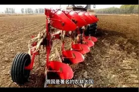 温铁军教授：农民自己养点鸡鸭鹅都不允许了？视频封面