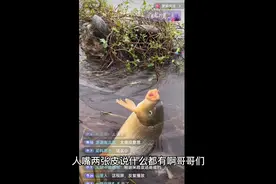 揭秘钓鱼骗局，实话实说全都是假的，连鱼儿都快折腾死了