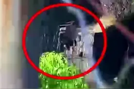 刑拘！男子往河里倒农药毒鱼虾 捕捞上来自己吃视频封面