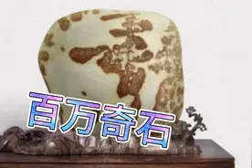 百万成交的黄河天价奇石，是如何从平凡走向巅峰的，值得玩家借鉴视频封面