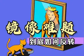 镜像到底对你做了什么：为什么镜子中的自己看上去更漂亮？