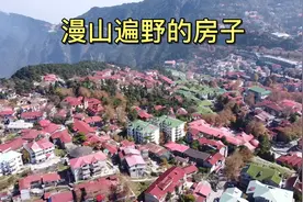 庐山的山顶，漫山遍野，一眼望去全是房子！视频封面