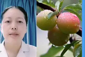李子的功效视频封面