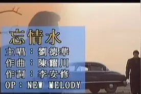 【经典歌曲MV】刘德华 忘情水