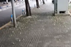 莎莎舞……莎莎舞……呀！