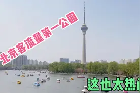 北京客流量排名第一的公园，不是天坛也不是北海，好多人不知道。视频封面