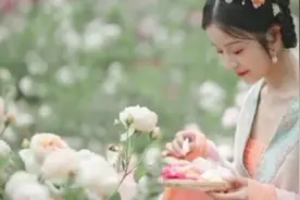 落花满天，醉了红颜，染了红胭，我与谁共闻这曲悠殇叹视频封面