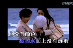 247羽泉《叶子》视频封面