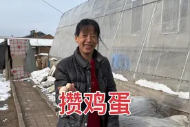 东北爸妈分工明确做豆酱块，油纸包好发酵两个月，攒鸡蛋坐月子吃视频封面