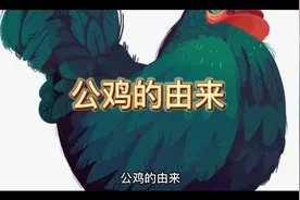 公鸡的由来