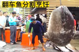 翻车鱼分割烹饪，鱼肠也可以做一道很鲜美的小菜#美食