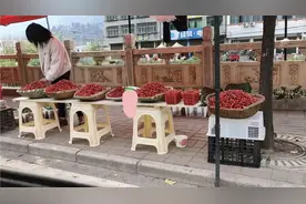 贵州毕节:万亩樱桃齐上市，保质期短三块一斤卖不出去，太可惜了视频封面