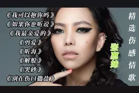 精选张惠妹伤感情歌，华语.国语金典、KTV必点难忘歌曲