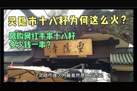 为何杭州灵隐市十八籽手串会突然爆火？限购网红手串一串多少钱？视频封面