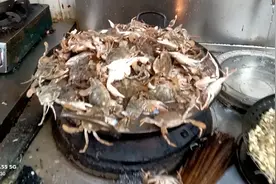 100元崂山肥肥螃蟹，猜猜多少斤？视频封面