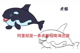 阿里为什么会跌这么惨，目前是谷底吗？原来都是这些因素的影响