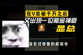 火影手游：又一位氪金神豪显总，能否打破V总最快突破千万记录