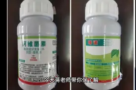 阿维菌素的作用与功效