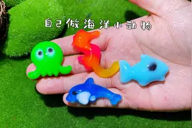 自己动手做海洋小动物视频封面
