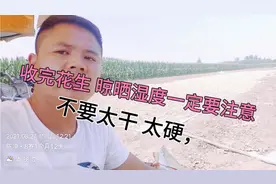 晾晒花生一定要掌握花生的湿度，不是越干越好，今天我家的刚刚好视频封面