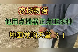 农民用点播器点播玉米种子，行吗？看看这位农民是怎么说的呢？！视频封面