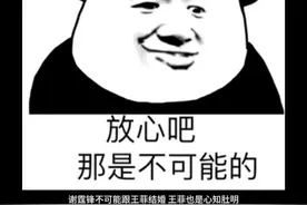 王菲不可能嫁给霆锋视频封面
