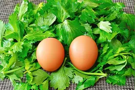 芹菜叶别扔掉加2鸡蛋，教你神仙吃法，不炒不炸，营养健康还拉丝视频封面