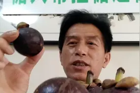 看山竹对血糖的影响有多大！糖人吃156克，看血糖升高多少！视频封面