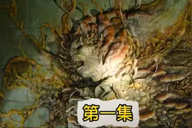 2023年美国爆发丧尸病毒 城市90%的人全部变成丧尸#丧尸病毒#解说