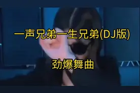 一声兄弟一生兄弟DJ版，劲爆音质太好听了
