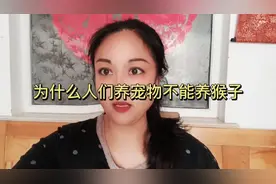 为什么人们养宠物不能养猴子？因为猴子是灵长类动物太聪明会模仿