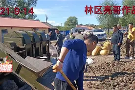 最开心的事脱松塔了，看看松塔是怎么脱出来的！