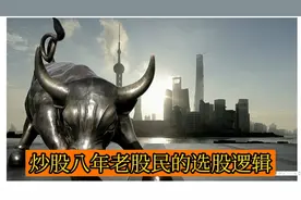 老股民是怎么选股的？手把手教你选出有潜力的板块，太实用了！视频封面