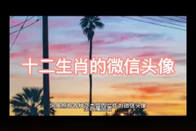 十二生肖适合的微信头像