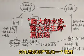 宝妈纯母乳喂养那些事！“胸大奶水多，臀大好生养”是真的吗？视频封面