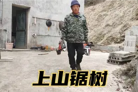 农村房子后面的树长太高了，对房屋有安全隐患，老爸这样做合适吗视频封面