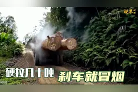 原始森林伐木工，推土机开山挖路，卡车硬拉几十吨树，一天赚4000视频封面