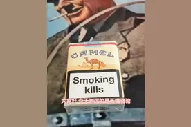 辨别真假骆驼视频封面