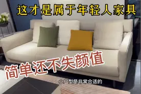 网友想看小户型真皮沙发，简约不简单，适合80%年轻人的风格视频封面