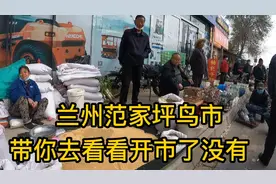 兰州范家坪鸟市，带你去看看开市了没有。视频封面