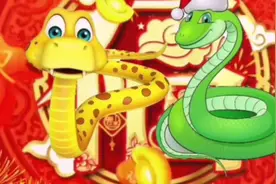 12生肖第六位巳蛇视频封面