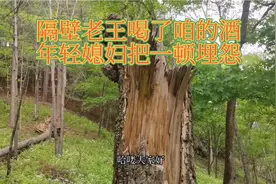 中草药关黄柏有强壮男人雄风的功效，但是得注意用量