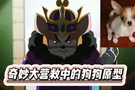 喜灰奇妙大营救中狗狗的原型，原来力将军不是藏獒也不是杜宾犬视频封面