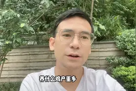 养什么鸡产蛋多经济效益好？推荐3种高产蛋品种