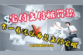 宝付支付被罚款305万元，看成支付宝了，那么宝付支付是什么呢？