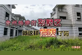 贵州都匀有一处别墅区，建到了一半却又荒废着视频封面