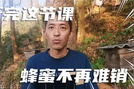 蜂蜜不好卖怎么办？认真听完这节课，卖蜂蜜不再难视频封面