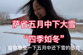 萨省五月中下大雪“四季如冬”，但家里笑声不断很温馨温暖如春！