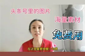 手机头条号里就有免费图片，海量素材免费用，你学会了吗？视频封面